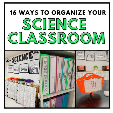 16 Ways to Organize Your Science Classroom ⋆ The Trendy Science Teacher 7th Grade Science Classroom, High School Biology Classroom, Middle School Science Lab, Life Science Classroom, High School Science Classroom, Teacher Essentials, Elementary Science Classroom, Middle School Science Classroom, Science Room