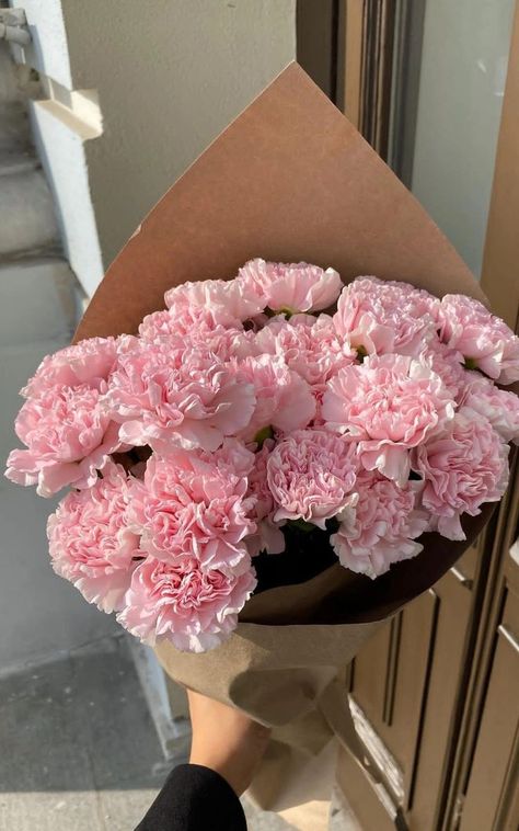 Flowers Aesthetic Bouquets, Pink Roses Bouquet, Land Design, Carnation Bouquet, Boquette Flowers, Nothing But Flowers, Pink Carnations, Design Illustrations, Carnation Flower