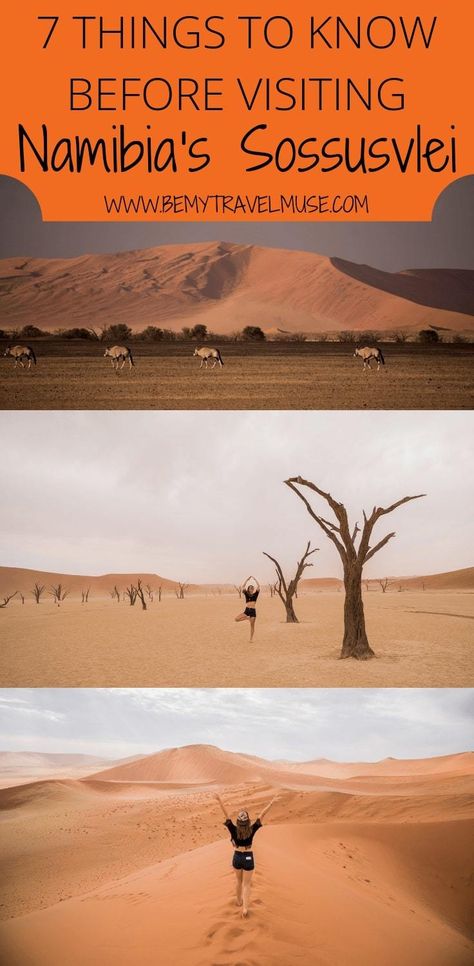 A Guide to Namibia's Gorgeous Sossusvlei Africa Destinations, Sossusvlei Namibia, Africa Itinerary, Namibia Travel, Africa Travel Guide, Beautiful Countries, Solo Travel Tips, Africa Safari, Family Vacation Destinations