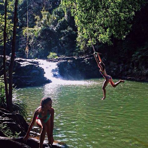 swinging rope Maleny swimming holes watering holes Gardners falls Locarno, Rope Swing Aesthetic, Rope Swing Into Water, Swimming Hole, Summer Swimming, Dream Summer, Watering Hole, Swimming Beach, Summer Plans
