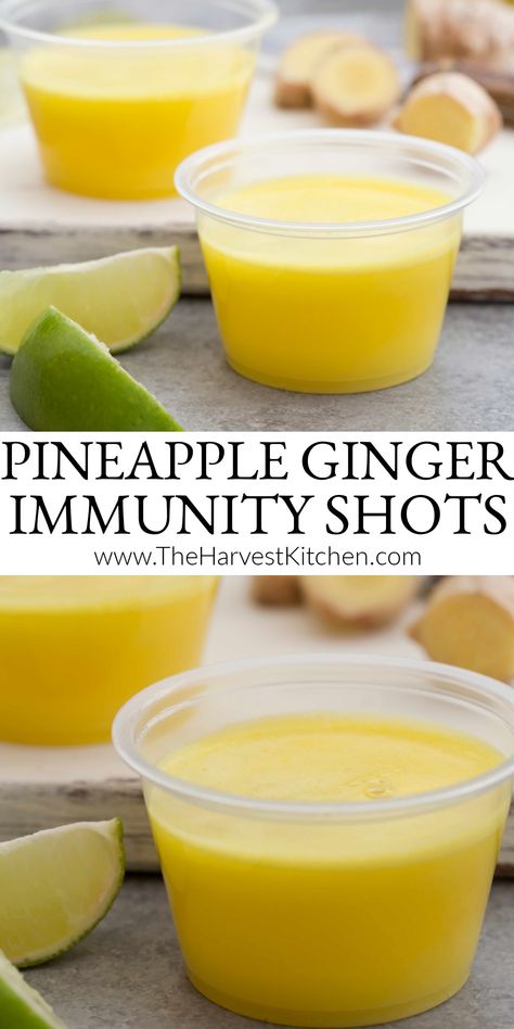 Shot Recipes, Ginger Shot Recipe, Pineapple Ginger, Anti Inflammation Recipes, Ginger Shot, Wellness Shots, Fruit Leather, Juicer Recipes, Healthy Juice Recipes