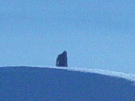 Bigfoot Real Photos, Bigfoot Washington State, Real Cryptid Photos, Cryptid Pictures, Cryptid Photos, Real Bigfoot Pictures, Bigfoot Footage, Diff Aesthetics, Puppet Combo