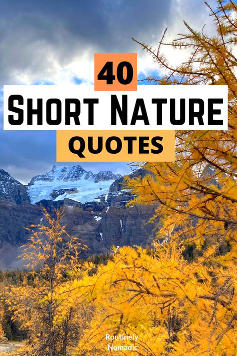 Nature Meditation Quotes, Finding The Beauty Quotes, Nature, Be With Nature Quotes, Nature And Art Quotes, Appreciating Nature Quotes, Nature Loving Quotes, Quotes About The Beauty Of Nature, Serene Quotes Nature