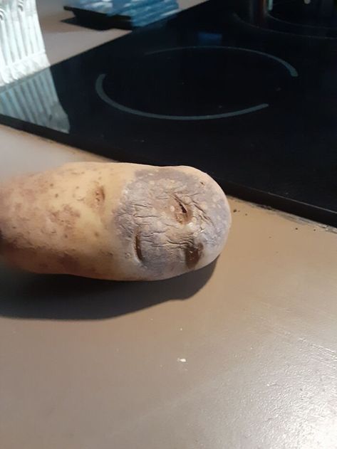Potato Face, Mind Blowing Images, Funny Fruit, Guys Be Like, Boiled Eggs, Mind Blown, Fruits And Vegetables, Baked Potato, Potato