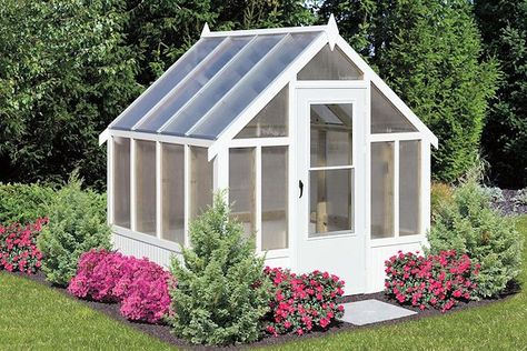 Greenhouses For Sale, Small Barns, Dust Bath, Backyard Chicken Farming, Greenhouse Shed, Duck House, Backyard Greenhouse, Chicken Feed, Chicken Diy