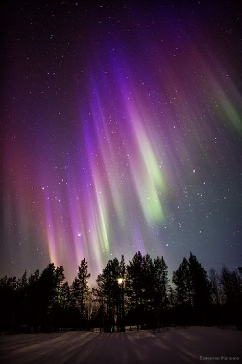Aurora Sky, Northen Lights, Northern Lights (aurora Borealis), Aurora Borealis Northern Lights, New Retro Wave, Image Nature, Natural Phenomena, Beautiful Sky, Light Photography