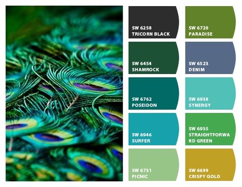 PEACOCK FEATHERS Paint colors from Chip It! by Sherwin-Williams. More Egyptian color and Peacock pins at https://www.pinterest.com/yrauntruth/home-egyptian/ and https://www.pinterest.com/yrauntruth/home-peacock-room-its-colors/