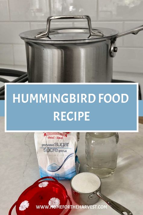 Wondering how to make hummingbird food for your feeder? This hummingbird food recipe is quick to make (and your birdies will love it!). The basic hummingbird food recipe is plain sugar water prepared in a ratio of 1 part sugar to 4 parts water, and then boiled on the stove to destroy harmful pathoge… How To Make Hummingbird Food, Hummingbird Food Recipe, Sugar Water For Hummingbirds, Make Hummingbird Food, Homemade Hummingbird Food, Hummingbird Food, Hummingbird Nectar, Recipe For 1, Hummingbird Plants