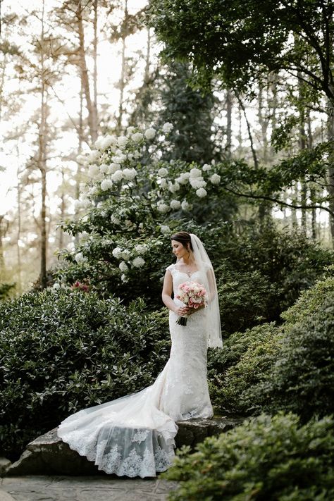 Beautiful Arkansas Bride Rebecca Parker at Garvan Woodland Gardens <<lace, bouquet, train, veil, long, sheer, straps, vneck, v-neck, greenery, flowers, bridals, portraits, photos, poses, pose, photoshoot>> Greenhouse Bridal Portraits, Rustic Bridal Portraits, Bride Poses Outdoor, Wedding Garden Photoshoot, Garden Bridal Portraits, Garvan Woodland Gardens, Anthony Chapel, Pose Photoshoot, Bride Vibes