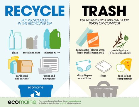 Waste Disposal Poster, Single Use Plastic Poster, What To Recycle, Plastic Poster, Recycle Poster, Waste To Energy, E Waste, Recycling Information, How To Recycle