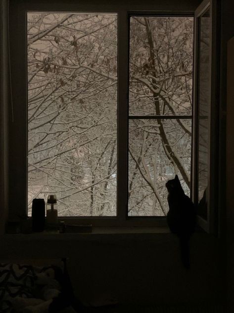 Dark Light Academia Aesthetic, Dark Light Academia, Light Academia Aesthetic, Dark Christmas, I Love Winter, Escape Reality, Dark Light, Winter Scenery, Window View