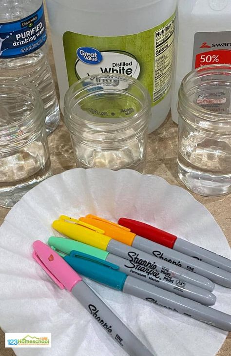 Dry Erase Marker Water Experiment, Volcano Science Projects, Balloon Science Experiments, Milk Science Experiment, Water Science Experiments, Christmas Science Experiments, Easy Science Projects, Candy Science, January Ideas