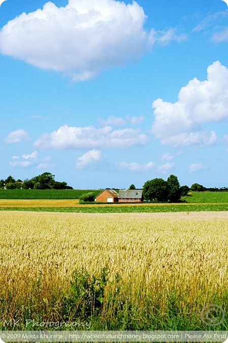 Denmark Nature, Denmark Countryside, Danish Countryside, Denmark Landscape, Denmark Summer, Danish Culture, Kingdom Of Denmark, Summer View, Visit Denmark