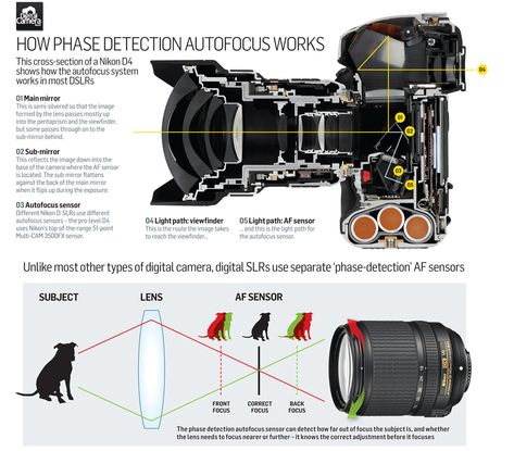 How does your DSLR Auto Focus Actually Work? System Camera, Mirrorless Vs Dslr, Nikon D4, Camera World, Gopro Camera, Photography Help, Photography Gear, Photography For Beginners, Camera Gear