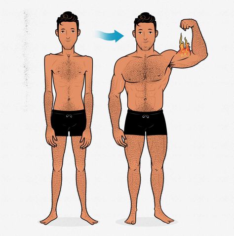 How Two Skinny Guys Gained Muscle (Our Muscle-Building Transformations) - Bony to Beastly Bulking Transformation, Bulking Diet, Hypertrophy Training, Ways To Gain Weight, Ectomorph Workout, Protein To Build Muscle, Gain Muscle Mass, Body Weight Training, Fat To Fit