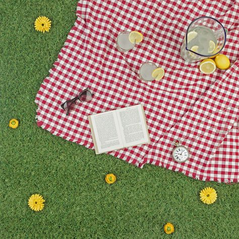 Picnic Product Photography, Picnic Flatlay, Picnic Flowers, Picnic Photography, Weekly Report, Picnic Theme, Spring Photoshoot, Spring Outdoor, Food Photography Inspiration