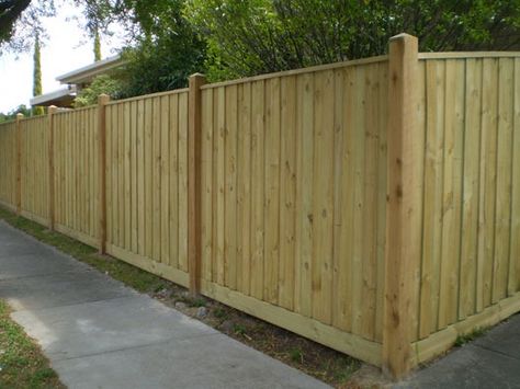 Timber Fencing Treated Pine Paling | Eastside Fencing Dog Ear Fence, Picket Fencing, Fencing And Gates, Timber Fence, Cypress Pine, Fence Options, Timber Posts, Timber Fencing, Southern Yellow Pine