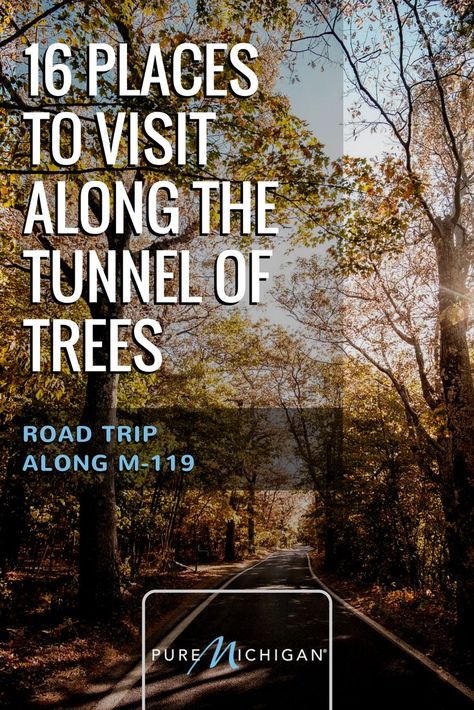 Tunnel Of Trees Michigan, Tunnel Of Trees, Michigan Adventures, Michigan Road Trip, Michigan Beaches, Michigan Vacations, Scenic Road Trip, Scenic Roads, Michigan Travel