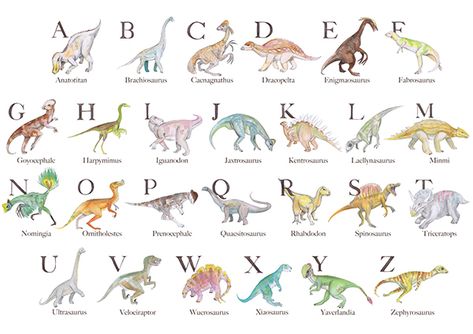 A poster designed to teach the alphabet through dinosaurs/dinosaur names through the alphabet. This is a university assignment (2013) from my first year of the course Bachelor of Design : Visual Communication. Dinosaur Names And Pictures, Dinosaurs Names And Pictures, Dinosaurs Names, Dinosaur Names, University Assignment, Dinosaur Lesson, Teach The Alphabet, Dinosaur Room Decor, Dinosaur Alphabet