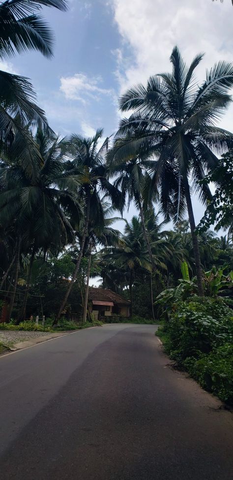Nature, Goa Morning Snapchat, Goa Waterfall, Goa Aesthetic Pictures, Thalassa Goa, Beach View Bedroom, Goa Snaps, Goa Aesthetic, Goa Vibes