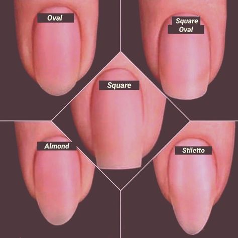 Types Of Nail Shellac Nail Shapes, Nail Guide Shape, Types Of Short Nail Shapes, Pretty Nail Shapes, Shapes For Natural Nails, Acrylic Nail Types Shape, Nails Sizes Shape, Different Types Of Acrylic Nails, Different Natural Nail Shapes