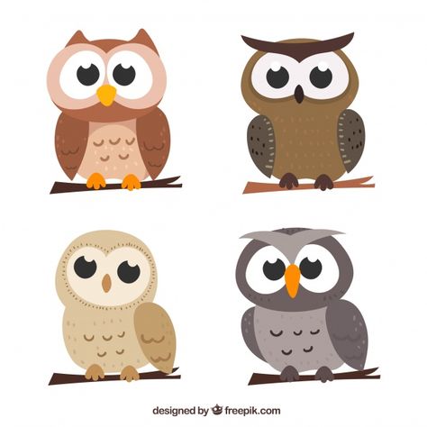 Cartoon Owl Drawing, Nature Character, Cartoon Bird, Owl Girl, Cartoon Owl, Owl Vector, Owl Stickers, Owl Logo, Owl Illustration