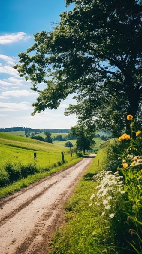 Summer wallpaper road landscape grassland. | premium image by rawpixel.com Nature, Farm Scenery Landscapes, Rural Landscape Photography, Grassland Aesthetic, Mississippi Landscape, Wallpaper Farm, Wallpaper Aesthetic Green, Green Morning, Forest Meadow