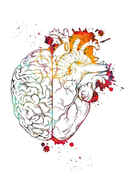 « Coeur et cerveau » par erzebetth | Redbubble Brain Watercolor, Science Art Drawings, Brain Painting, Medical Artwork, Poster Medical, Brain Drawing, Heart And Brain, Display Retail, Biology Art