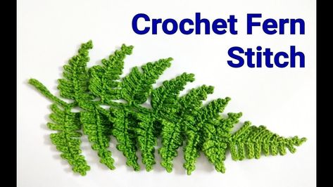 Crochet Fern ???? Leaf Fern Crochet Pattern, Fern Macrame Tutorial, Crochet Vines And Leaves Pattern, Crochet Leaves Free Pattern, Crochet Fern Leaf, Crochet Leaf Stitch, Crochet Fern, Leaf Crochet, Crochet Plants