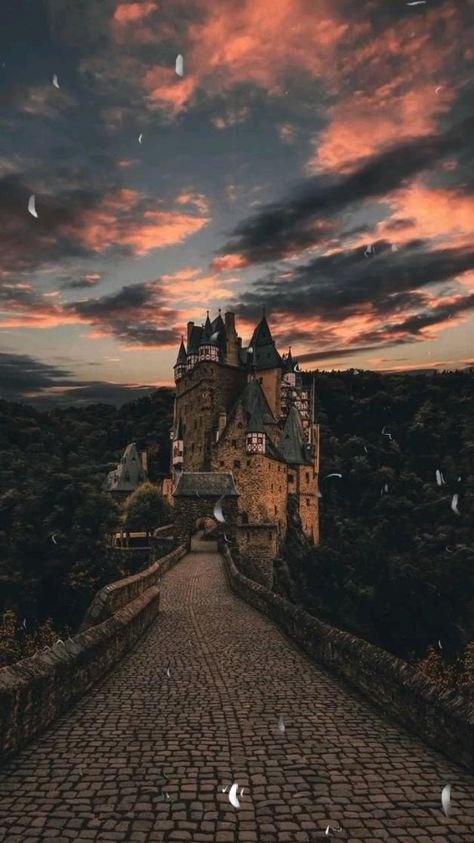 متحف فني, Natur Wallpaper, العصور الوسطى, Wallpaper Harry Potter, Foto Disney, Tapeta Harry Potter, Harry Potter Background, Istoria Artei, Fotografi Kota