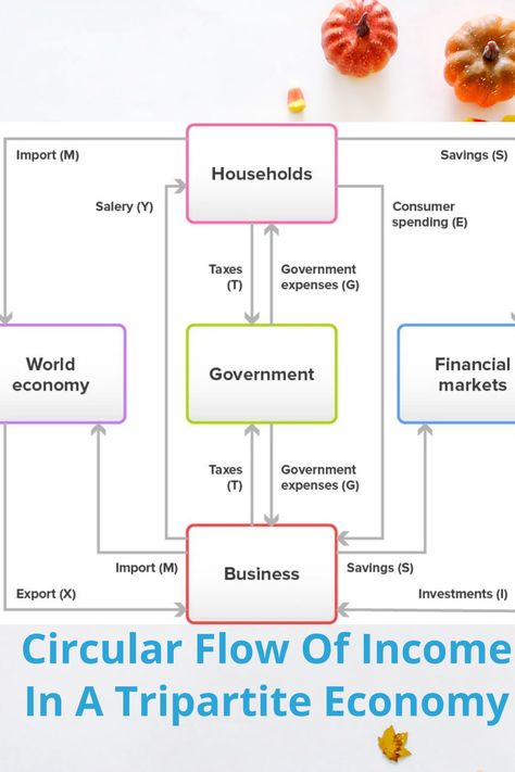 National Income Economics, Circular Flow Of Income, National Income, Economics Notes, Economics Lessons, Black Strawberry, Market Economy, Home Tutors, Sample Paper