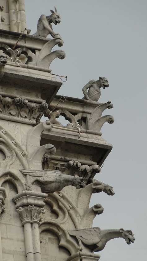 Gargoyles Protecting Notre Dame Notre Dame Gargoyles, Gargoyles Art, Gothic Gargoyles, Old Manor, Gothic Cathedrals, Architectural Sculpture, Catty Noir, Gothic Architecture, Environment Concept Art
