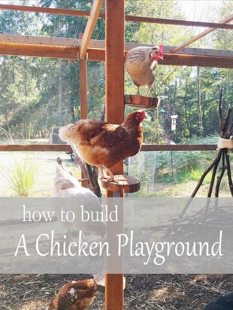 Pallet Chicken Run Diy Easy, Chicken Run Set Up Ideas, Chicken Gym Ideas, Cute Chicken Run, Chickens As Pets, Things To Build For Chickens, Chicken Feeders Ideas, Easy Diy Chicken Roost, Corner Nesting Boxes For Chickens