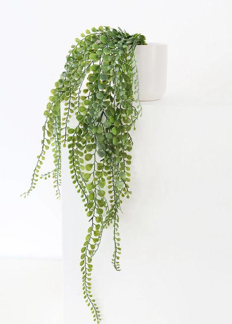Tall Fake Plants, Button Fern, Hanging Indoor Plants, Hanging Ferns, Small Fake Plants, Fake Hanging Plants, Plant In Pot, Artificial Hanging Plants, Fake Plants Decor