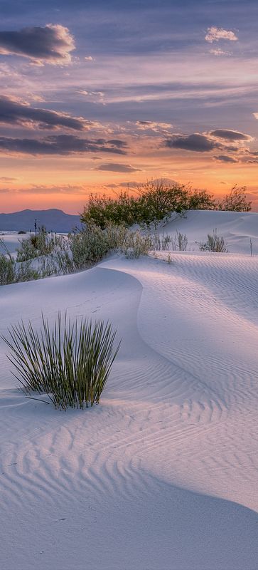 Alamogordo New Mexico, White Sand Dunes, White Sands National Monument, Vanilla Sky, Desert Landscapes, Desert Photography, Places In America, Land Of Enchantment, Secret Places