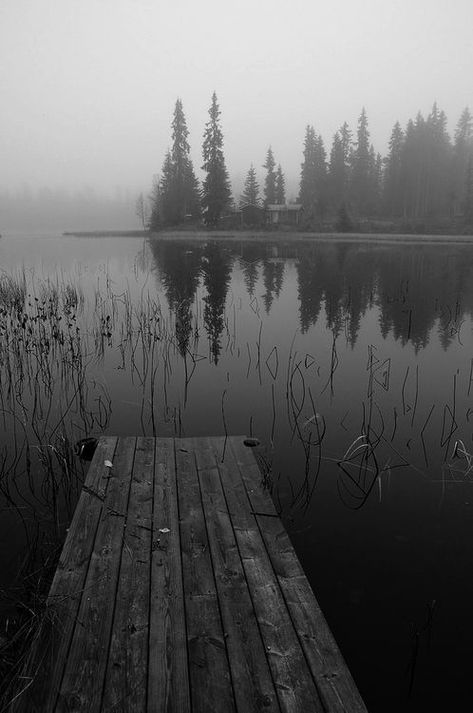 Bath Photography, Wooded Landscaping, White Landscape, White Lake, Black And White Landscape, Lake Landscape, White Mountains, Forest Landscape, Black And White Aesthetic