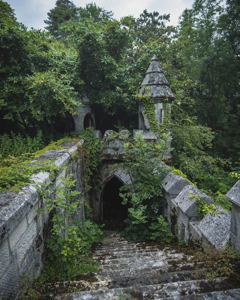 A Peculiar Ghost is Haunting Europe's Abandoned Castles Abandoned Garden Aesthetic, Haunted Garden Aesthetic, Forest Castle Aesthetic, Castle In A Forest, Abandoned Places Creepy, Castle In Forest, Castle In The Forest, Castle Scenery, Abandoned Forest