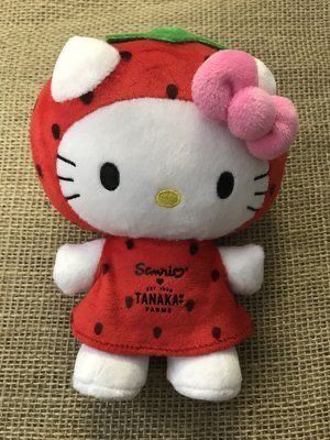 Strawberry Plushie Aesthetic, Strawberry Hello Kitty Plush, Hello Kitty Strawberry Plush, Hello Kitty Stuffed Animal Plush, Hello Kitty Toys Plush, Hello Kitty Plush Aesthetic, Plushies Hello Kitty, Hello Kitty Stuffed Animal, Sanrio Strawberry