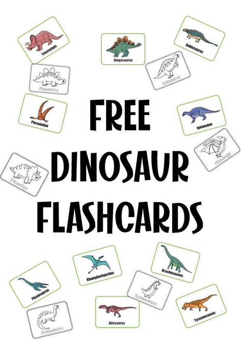 Beautiful PDF pages of dinosaur flashcards to print. These free sheets have colored and black and white cards with dinosaur pictures and names. Free Printable Dinosaur Pictures, Dinosaur Flashcards Free Printable, Dinosaur Shapes Free Printable, Dinosaur Scavenger Hunt Free Printable, Dinosaur Names And Pictures, Dinosaur Images Free Printable, Dinosaur Name Craft, Dinosaur Templates Free Printable, K4 Activities