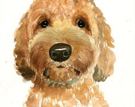 Dog Painting Watercolor, Watercolor Poodle Painting, Easy Watercolor Dog, Golden Doodle Watercolor Painting, Puppy Watercolor Paintings, Dog Watercolor Painting Easy, Cockapoo Painting, Watercolour Cockapoo, Watercolor Labradoodle