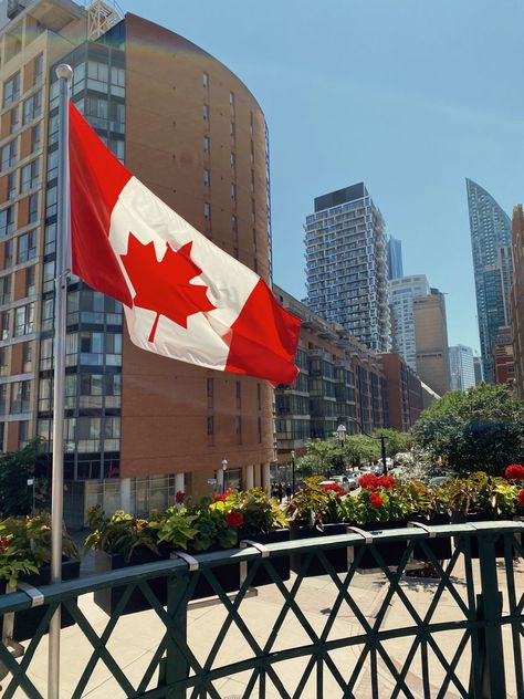 Best Chocolate Bundt Cake Recipe, Canadian Flag Art, Best Chocolate Bundt Cake, Chocolate Bundt Cake Recipe, Toronto Vacation, Canadian Passport, Canada Pictures, Canada City, Pictures Of Shiva