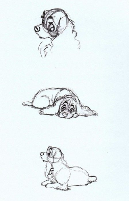 scurviesdisneyblog:  Lady Concept Sketches Drawing Hands, Sketches Disney Characters, Drawing Sketches Disney, Sketches Disney, Croquis Disney, Concept Art Disney, Concept Art Landscape, Concept Sketches, 디즈니 캐릭터