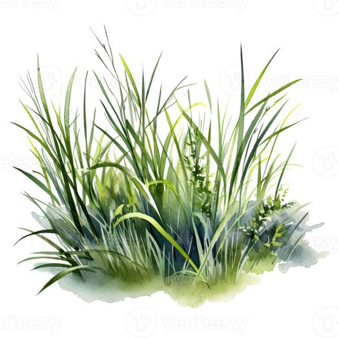 Croquis, Grass Illustration, Grass Drawing, Magpie Art, Painting Flowers Tutorial, Tree Watercolor Painting, Grass Painting, Landscape Architecture Drawing, Grass Textures