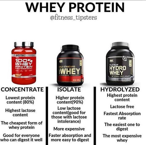 Whey Protein Benefits, Best Protein Supplement, Best Whey Protein Powder, Best Bodybuilding Supplements, Best Whey Protein, Gym Supplements, Best Protein Powder, Protein Diet, Gym Food