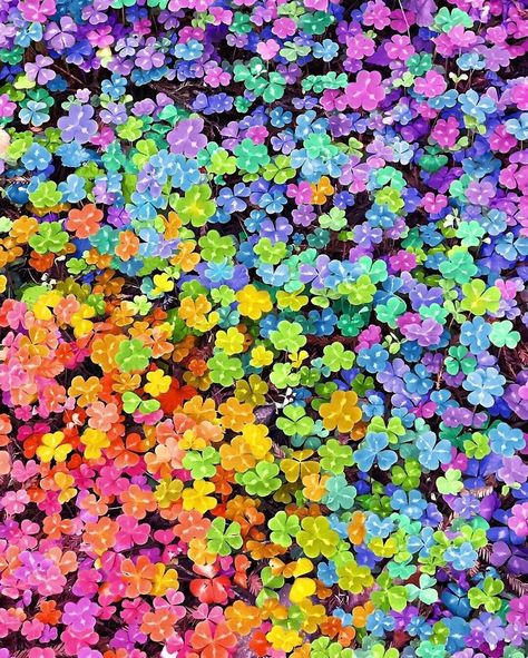 New York Artist Covers Pictures In Rainbows Because Everything Is Better With Lots Of Color—Ramzy Masri Rainbow House, Rainbow Pictures, Rainbow Aesthetic, Rainbow Wallpaper, Taste The Rainbow, Rainbow Art, Aesthetic Colors, Cover Pics, Drone Photography