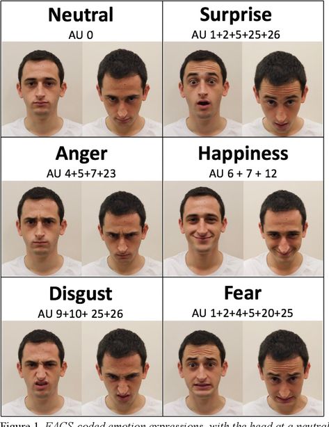 Figure 1 from Running head: Head tilt and facial expressions In press, Emotion How and why head position changes the perception of facial expressions of emotion | Semantic Scholar Emotional Facial Expressions, Emotion Expression, Emotion Recognition, Dashed Line, Human Anatomy Reference, Emotion Faces, Portrait Reference, Psychological Science, Head Tilt