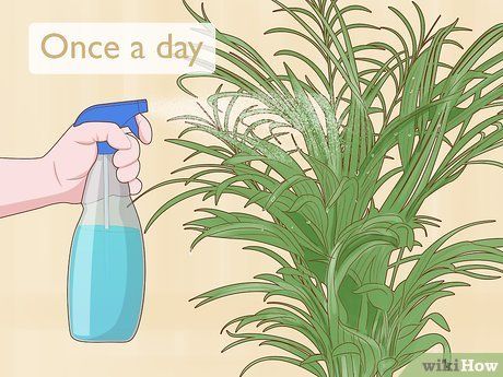 How To Care For Palm Plants Indoors, Areca Palm Care, Palm Plant Indoor, Areca Palm Indoor, Indoor Palm Plants, Palm Plant Care, Golden Cane Palm, Butterfly Palm, Dypsis Lutescens