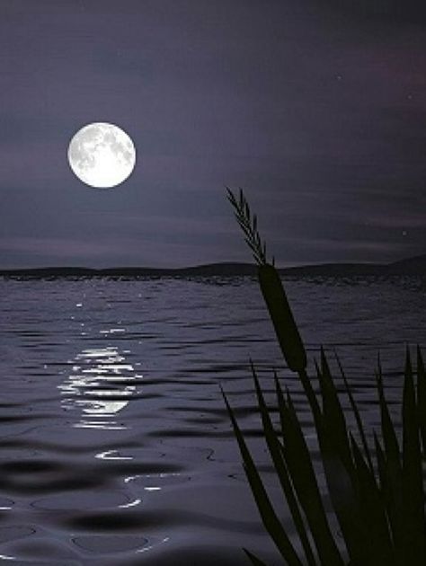 Reflection of the moon in water Nature, Tumblr, Beautiful Nature Night, Moonlight Reflection, Moon Over Water, Moon Reflection, Magic In The Moonlight, Moon Silhouette, Moonlight Sonata