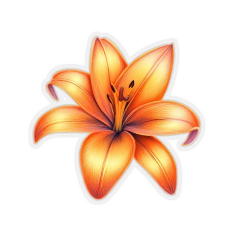 "Sticker measures 2\" x  2\"  -- This listing is for 1 sticker. Our enchanting Orange Lily Sticker is a delightful design created to showcase the delicate beauty of this beloved flower. This vinyl sticker captures the essence of a Orange Lily with its vibrant petals, intricate center, and graceful stem. The colored pencil technique lends a soft and realistic touch to the drawing, accentuating the flower's natural elegance and charm. This sticker is perfect for adding a touch of floral allure to Lily Sticker, Orange Lily, Pencil Artwork, Sticker Flower, Colored Pencil Artwork, Flower Stickers, Colored Pencil Techniques, Flower Sticker, Pastel Pencils