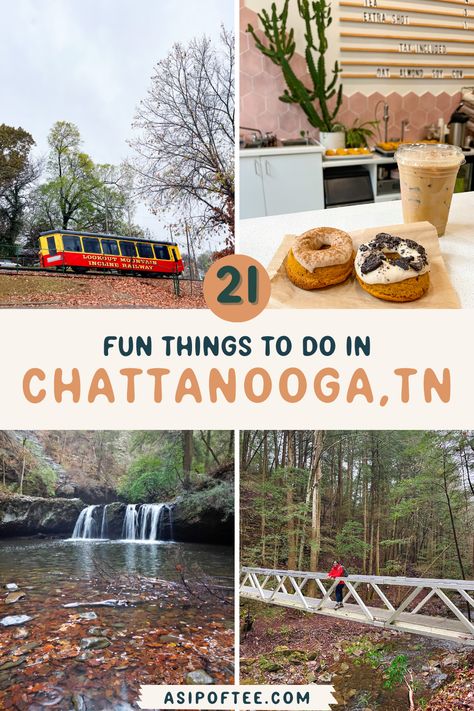 Chattanooga, Tennessee is a hidden gem in the South. Discover the best things to do in this vibrant city with our list of 21 must-see attractions, including Lookout Mountain, the Riverwalk, and more! Lookout Mountain Tennessee, Tennessee Aquarium, Cloudland Canyon, Chasing Waterfalls, Lookout Mountain, Chattanooga Tennessee, River Rafting, Chattanooga Tn, Family Travel Destinations